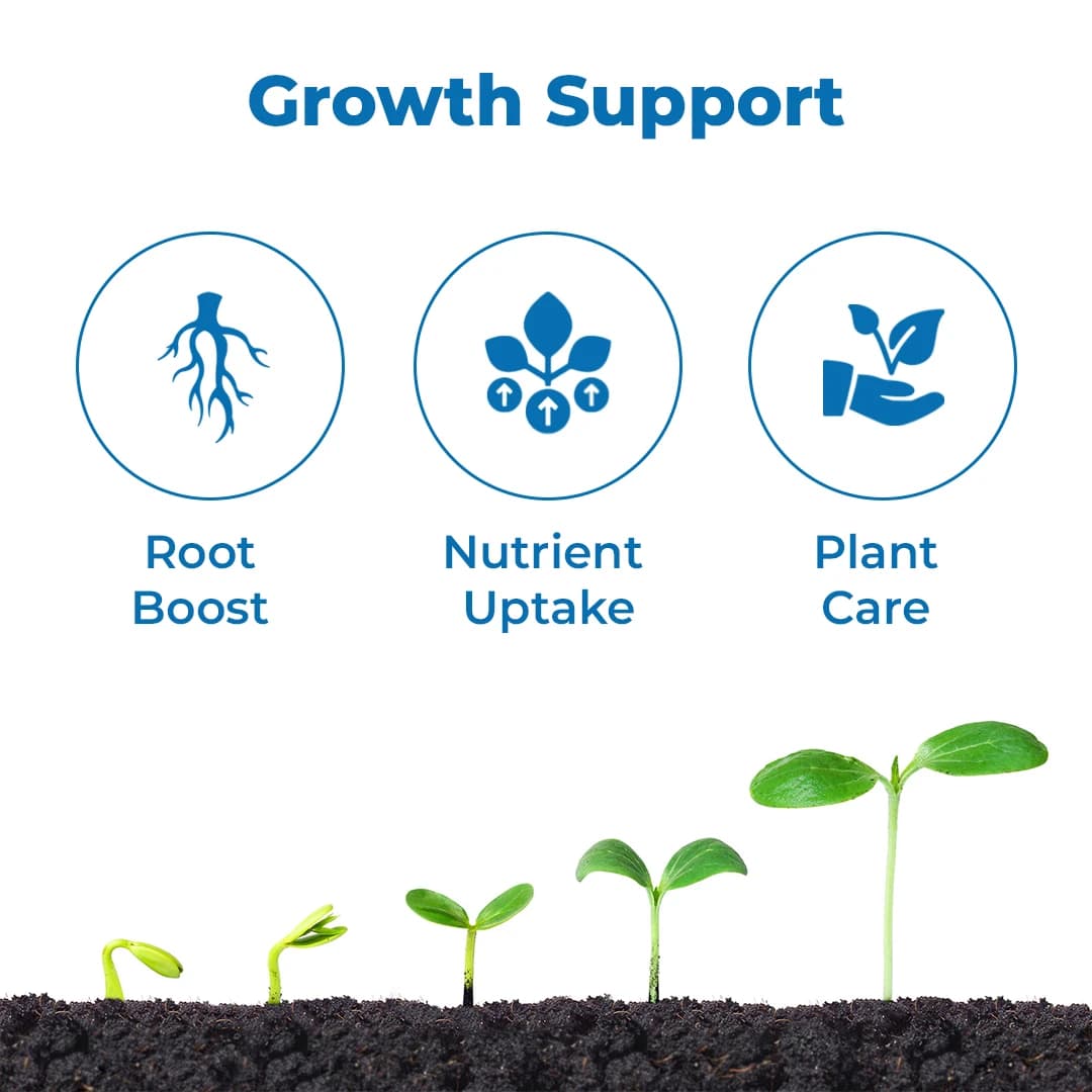 InGene Nanozim DeLite WG Bio-Stimulant, Advanced Seaweed Based For Enhanced Crop Growth And Yield - Image 3