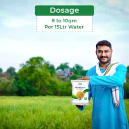 BACF Wertisphere Verticelium lacanii 1.15% WP, 1 x 10^8 CFUs Per gm. min Based On A Beneficial Entomophagous Fungus Verticillium Lecanii 5