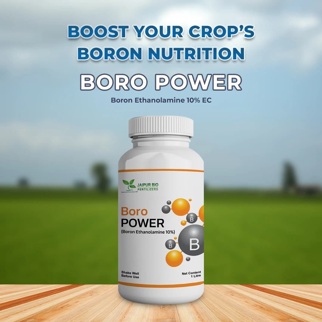 Jaipur Bio Fertilizers Boro Power Boron Ethanolamine 10% EC Suspension Concentrate For Plants. - Image 2