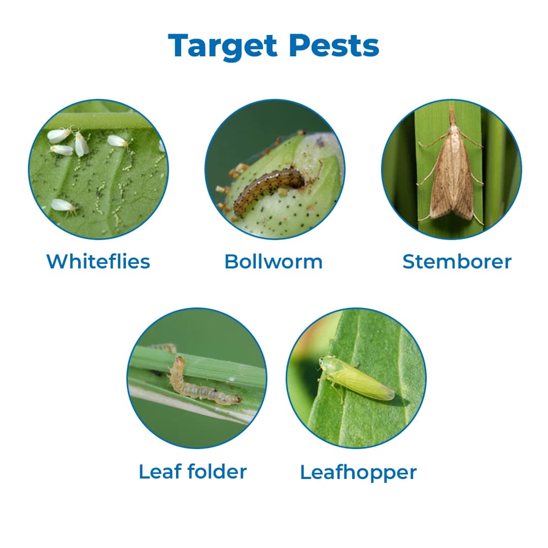 BAMBOO Bifenthrin 10% E.C , Broad Spectrum Insecticide Of Pyrethriod Ester Group, Control Different Types of Larva, White Fly, Mites, Jassids - Image 3