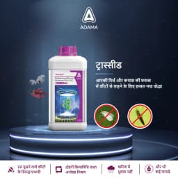 Adama Trassid Diafenthiuron 40% + Spinetoram 5% SC Insecticide, Dual Action Solution 3