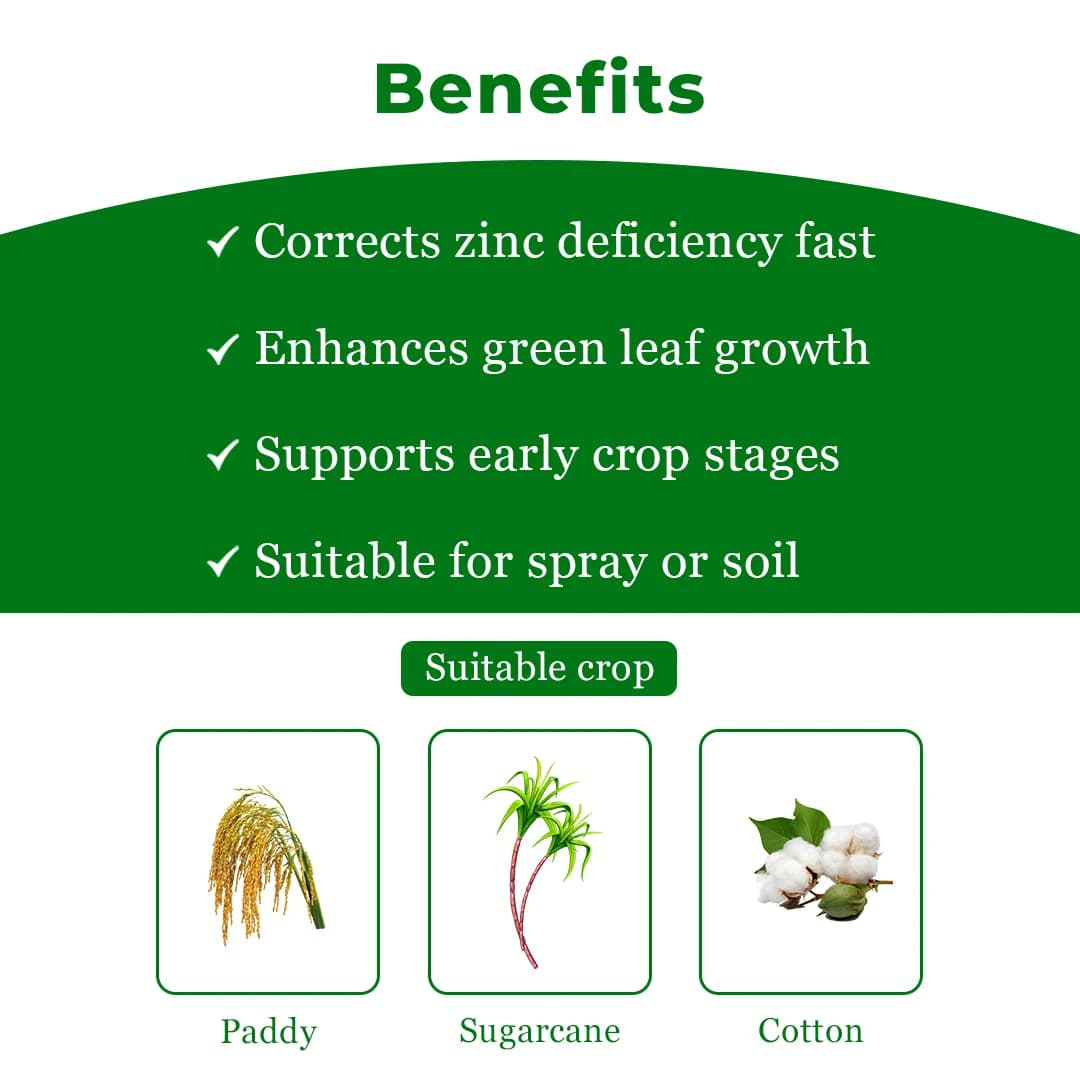 ऑक्सीजिंक-395, जिंक ऑक्साइड 39.5% सूक्ष्म पोषक तत्व, जिंक उर्वरक, धान, गन्ना, मक्का, कपास, सब्जियां, अदरक, आदि के लिए उपयोग किया जाता है। - Image 4