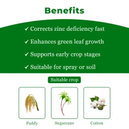 Oxizinc-395 , Zinc Oxide 39.5% Micronutrient , Zinc Fertilizer, Used For Paddy, Sugarcane, Maize, Cotton, Vegetables, Ginger, etc. 4