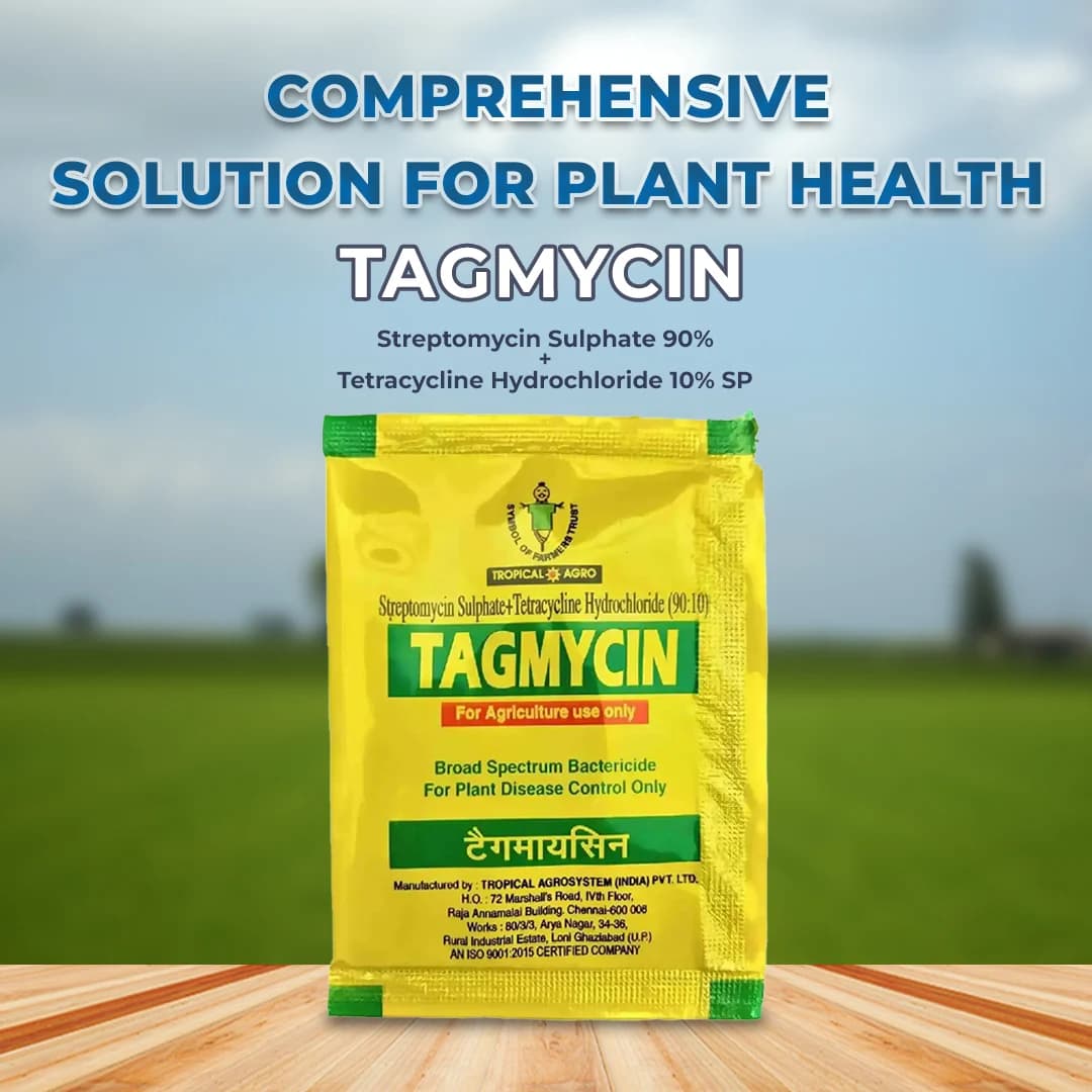 Tropical TAGMYCIN Streptomycin Sulphate 90% + Tetracycline Hydrochloride 10% SP Bactericide, Plant Disease Control - Image 2