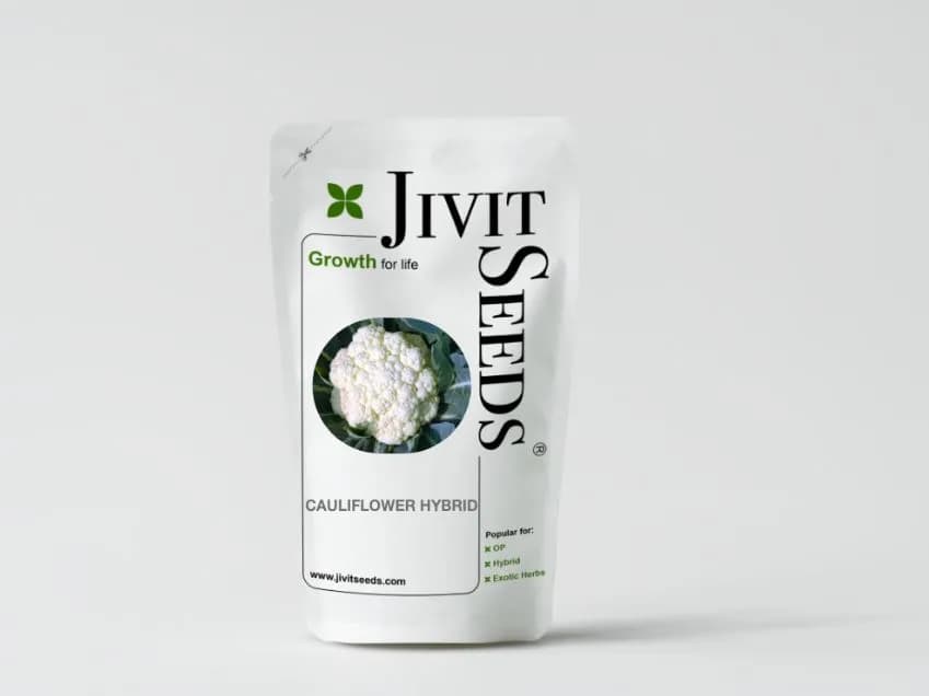 Jivit JS 2 F1 Hybrid Cauliflower Seeds, Very Early Variety and High Tolerance to Heat. - Image 2