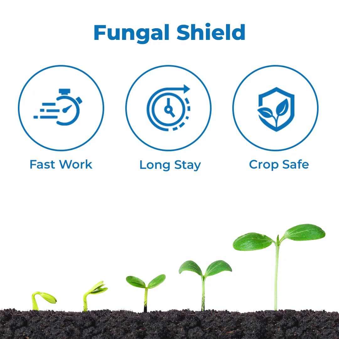 Coromandel Corostar Azoxystrobin 18.2% + Difenoconazole 11.4% Sc Contact and Systemic Fungicide - Image 3