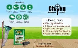 Chipku Pheromone Trap Funnel With Helicoverpa Armigera Lure To Catch Insect Moth of Green Leaf Eating Caterpillar. Useful in Cotton, Tomato & Others 2
