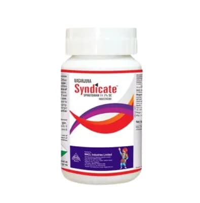Nagarjuna Syndicate Spinetoram 11.7% SC, Broad Spectrum Insecticide, Long Lasting Control. - Image 1