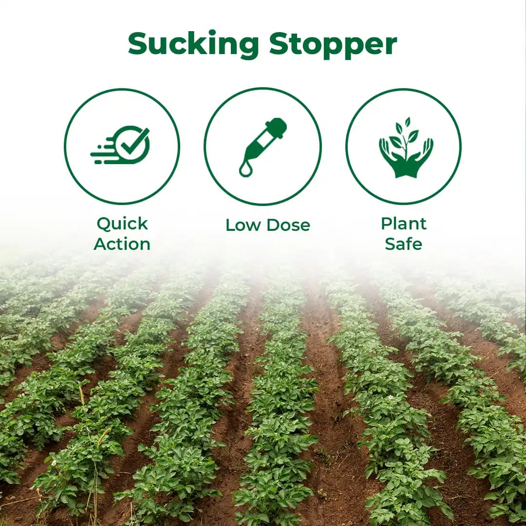 Rain Proud Insecticide - Image 3