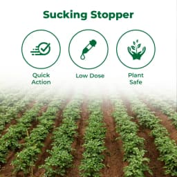 प्राऊड - एसिटामिप्रिड 20% एसपी. कीटनाशक, प्रभावी प्रणालीगत फफूंदनाशक, माहूँ, जैसिड और सफेद मक्खियों को नियंत्रित करता है। 3