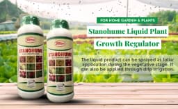 T Stanes Stanohume (12% HA) Plant Growth Regulator, Improves The Structure of the Soil and Increases Water Retention, Use for Home Garden and Plants 2