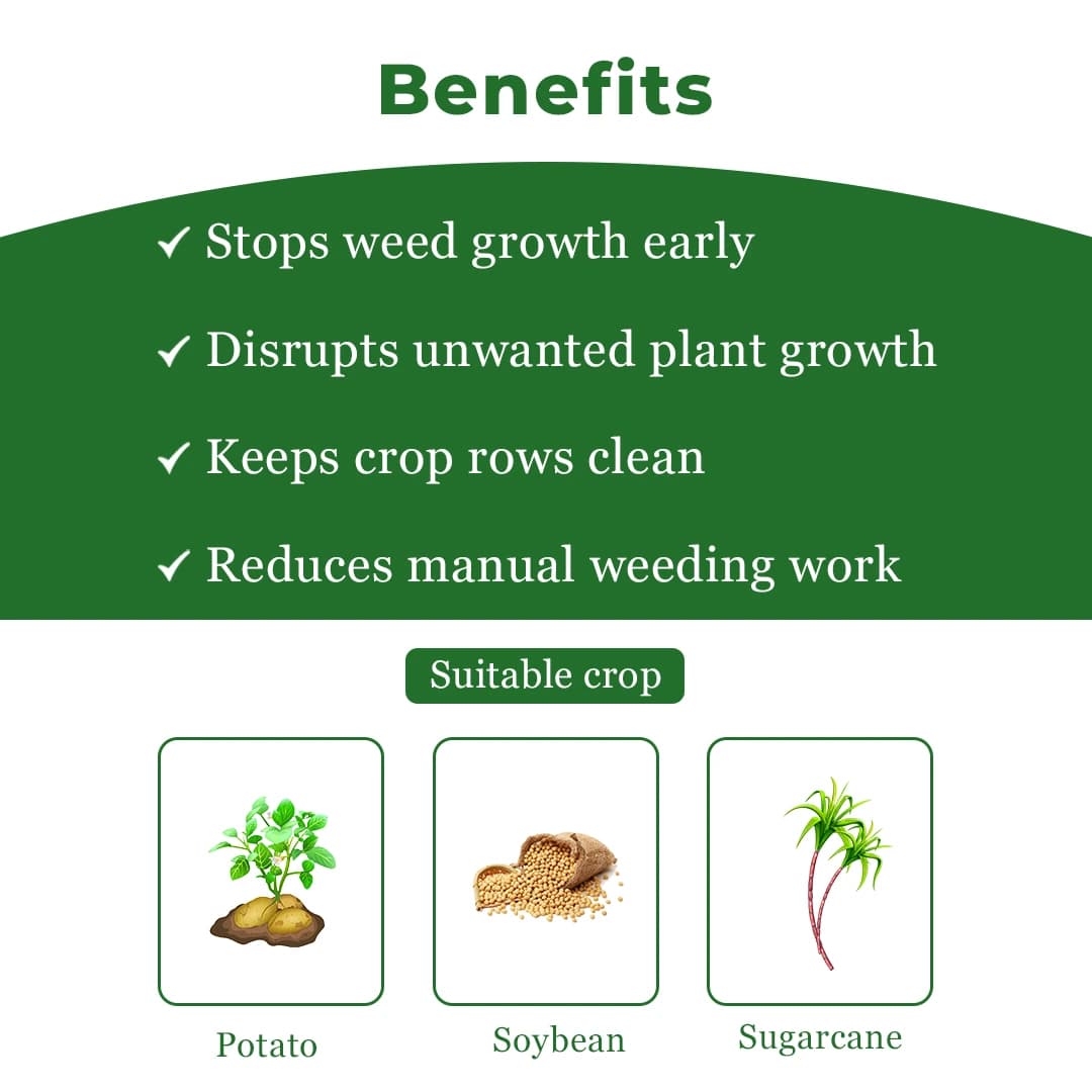 Exylon Magnum Herbicide - Metribuzin 70% WP - Image 4