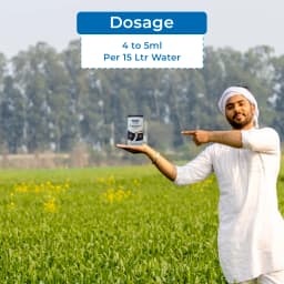 Summitomo Yunico Flow Chlorantraniliprole 18.5% SC, Broad Spectrum Insecticide For Various Crops 5