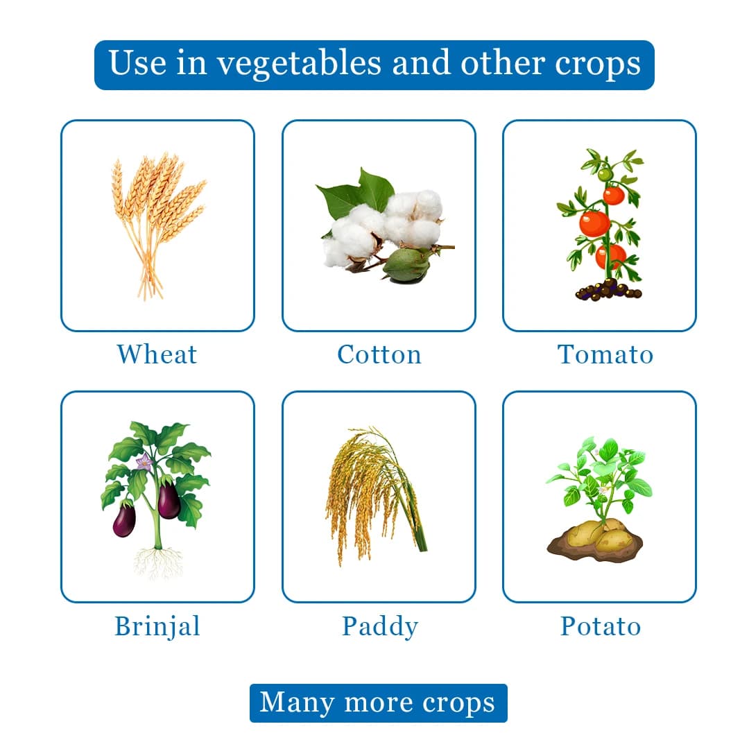 BACF BOXAM - Thiamethoxam 25% WG Insecticide, Systemic And Contact Insecticide - Image 4