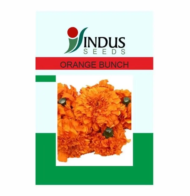 Indus Seeds Marigold Orange Bunch, Hybrid Marigold Seeds With Compact Ball Shaped.