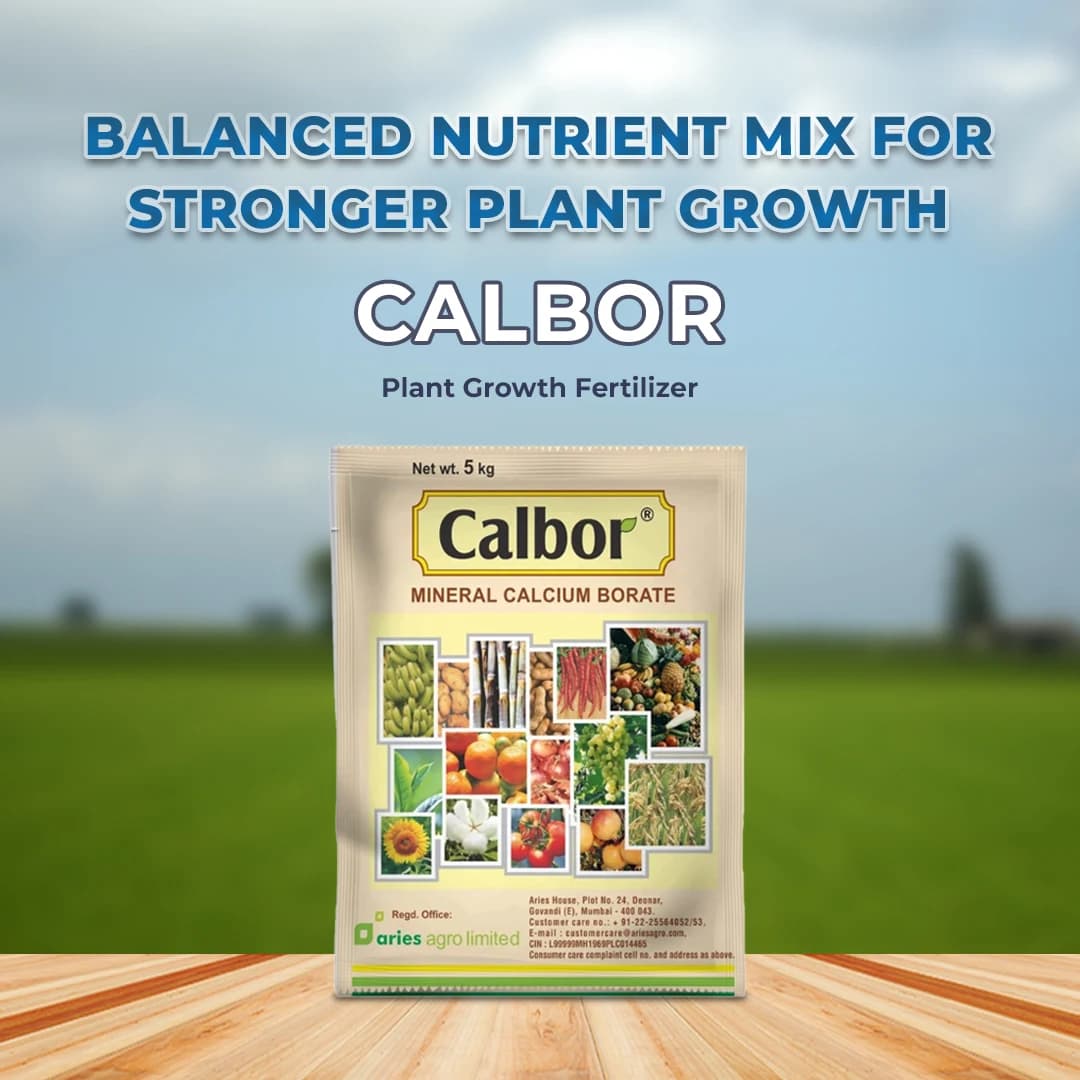 Aries Calbor Fertilizer - Mineral Calcium Borate - Image 2