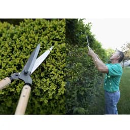 Heavy Garden Wooden Handle Grass Scissor Hedge Shears Cutter, High Quality Gardening Tools 3