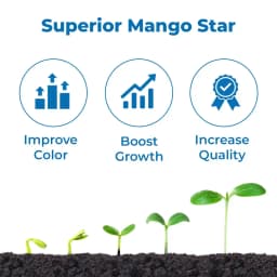 Titan Agritech Pep Star Paclobutrazol 23%, Mango Plant Growth Fertilizer, For Development Of Better Fruit Colour & Size 3