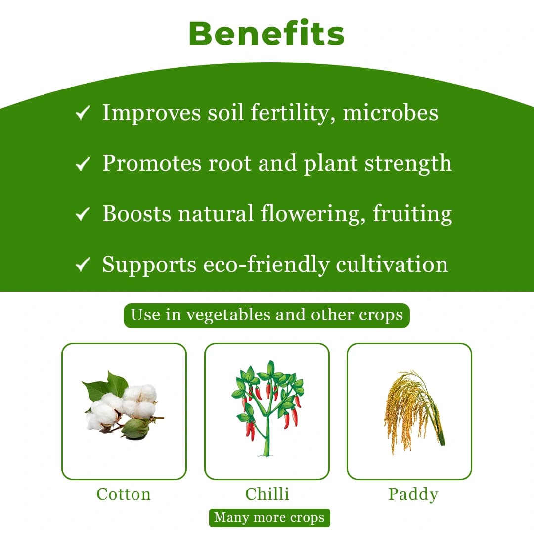 Orcon+ Speciality Adjuvant with Antifeedant Properties. For Chilli, Cotton & Paddy, Specially for Black Thrips In Chilli Crop - Image 4