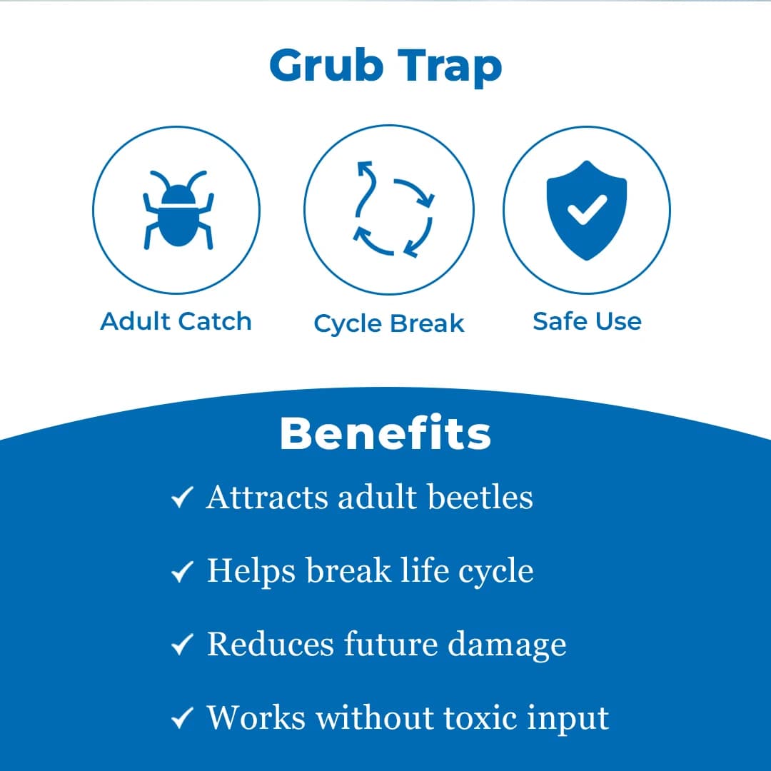 Holotrichia Consanguinea, Holotrichia Serrata Pheromone Trap & Lure, Controlling of White Grub In Sugarcane, Groundnut, Chilli, Guava and Others - Image 3
