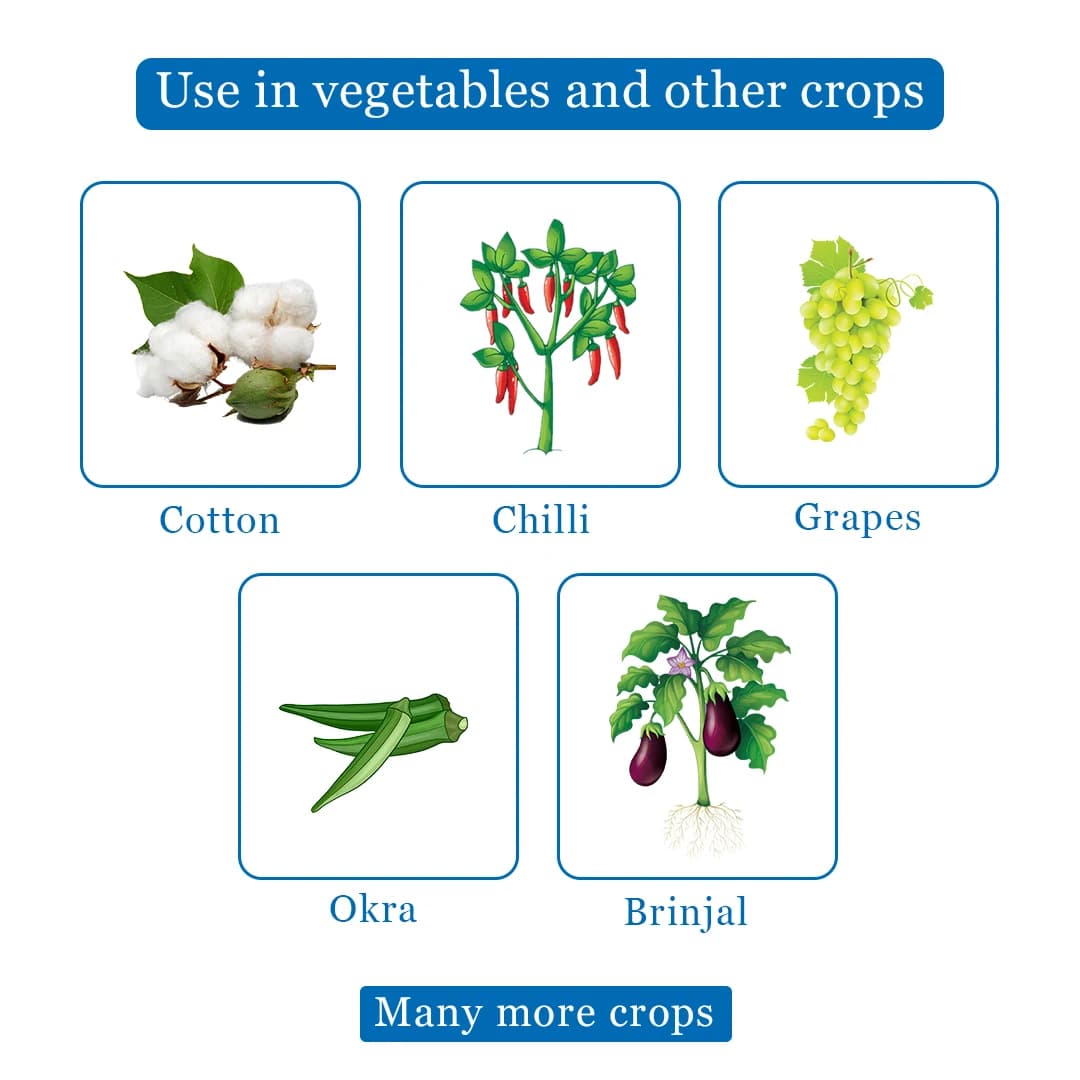 Bayer Movento OD Insecticide - Image 4
