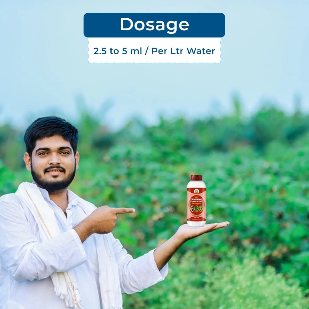 EBS Pseudomonas Fluorescence Bio Fungicide, Controlling Diseases Like Root Rot, Stem Rot, Collar Rot On All Crops - Image 6