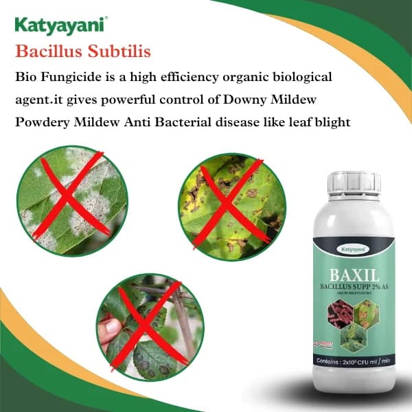 Katyayani Baxil Bacillus Supp 2% AS Liquid Bio Fungicide, Solution For Effective Control of Fungal Diseases In Crops - Image 4