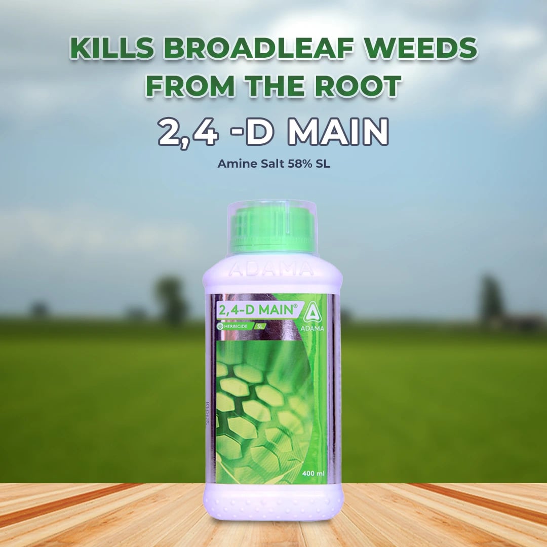 Adama 2,4-D Main Herbicide