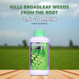 एडामा 2,4-डी मेन अमाइन सॉल्ट 58% एसएल खरपतवारनाशी, चयनात्मक प्रणालीगत पोस्ट-एमर्जेंस खरपतवारनाशी 2