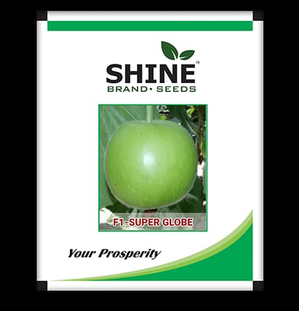 टिंडा सुपर ग्लोब एफ1 संकर - शाइन ब्रांड सीड्स, सर्दी के मौसम के लिए गोल आकार के कद्दू के बीज