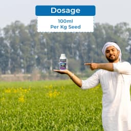 UPL Provax Carboxin 17.5% + Thiram 17.5% FF, Fungicide For Seed Treatment. 5