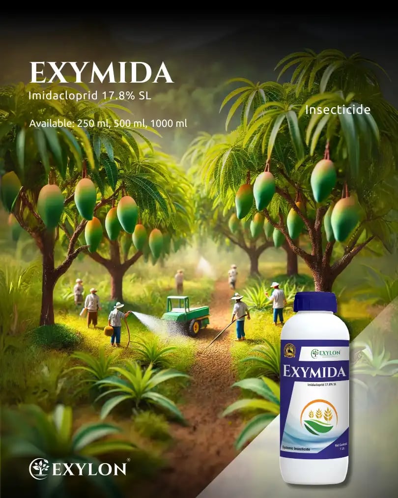 Exylon Exymida Insecticide