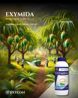 Exylon Exymida Imidacloprid 17.8% SL Insecticide, Efficient For Sucking Pests Control Solution In Crops 2