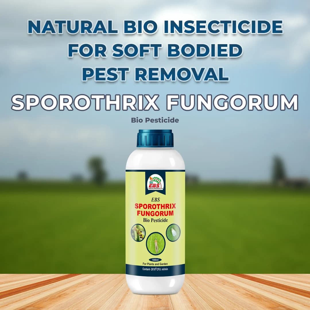 EBS Sporothrix Fungorum Bio Pesticide, Control All Types Of Mites On All Crops - Image 3
