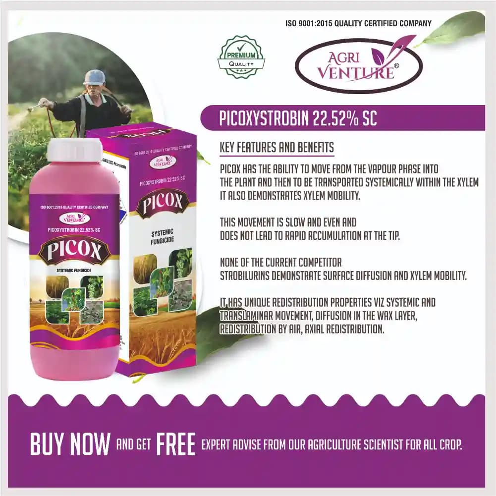 Agriventure PICOX Picoxystrobin 22.52% SC Fungicide, Control Major Fungal Diseases In Crops - Image 3