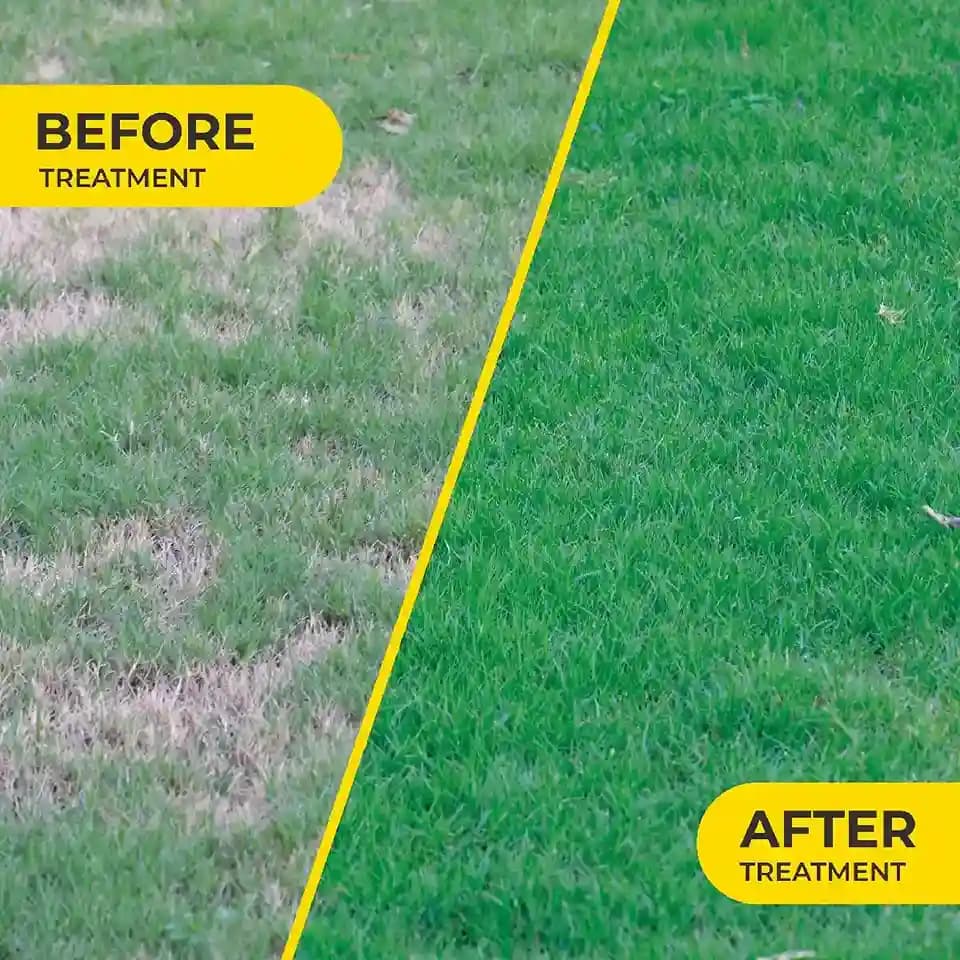 Gaiagen Termite Control, Effective Termite Control for Crops & Gardens, Fast-acting Formulation for Plants - Image 6