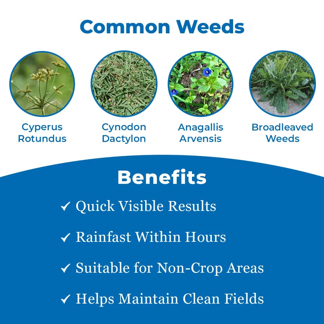 Peradex Herbicide - Image 3