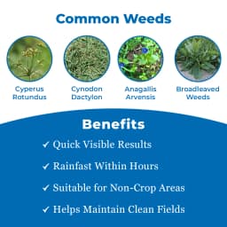 PERADEX - Paraquat Dichloride 24% SL Non Selective Herbicide, Useful Against Weeds Like Imperata cylendrica, Setaria sp., Commelina benghalensis 3