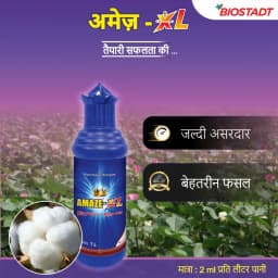 Biostadt Amaz-XL Bio Stimulant, Efficient For Better Fruit Development And Quality Enhancement 2