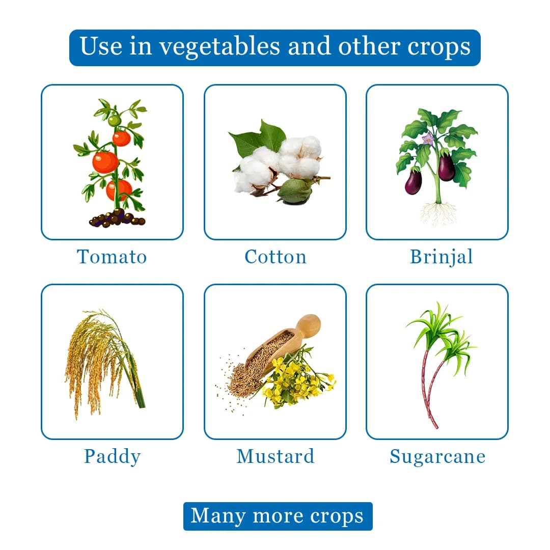 कार्बाइन 20 - क्लोरपाइरीफॉस 20% ईसी. कीटनाशक, दीमक, माहूँ, बॉलवर्म, सफ़ेद मक्खी और कट वर्म, हिस्पा, लीफ रोलर, तना छेदक को नियंत्रित करने के लिए। - Image 4