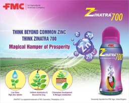 FMC Zinatra 700 (Zinc Oxide Suspension Concentrate 39.5% ww Zinc) , Provides More Zinc To Plants Compared To Traditional Zinc Formulations 6