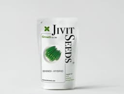 Jivit F1 Hybrid Bhindi JS 100 Seeds, Suitable For Summer And Monsoon Sowing 3