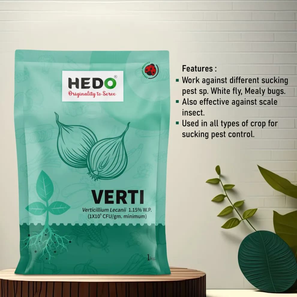 HEDO Verti (Verticillium Lecanii 1.15% Wp) Bio Pesticide, Targets A Wide Range Of Pests Like Aphids, Thrips, Etc - Image 9