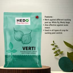 HEDO Verti (Verticillium Lecanii 1.15% Wp) Bio Pesticide, Targets A Wide Range Of Pests Like Aphids, Thrips, Etc 5