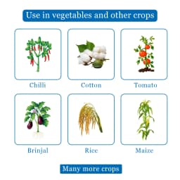 BACF Priorat 404 Profenofos 40% + Cypermethrin 4% EC Insecticide, Effective Against Caterpillars, Aphids and Mites 4