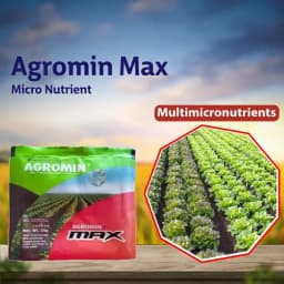 Aries Agromin Max Multi Micronutrient Fertilizer, Highly Concentrated and Soluble 6