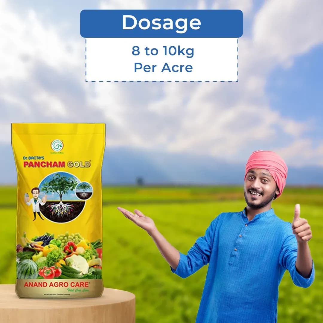 Dr. Bacto\'s Pancham Gold Granules, Formulation of Arbuscular Mycorrhiza, Increase the Plant Growth and Yield and Enrich the Soil Condition - Image 5
