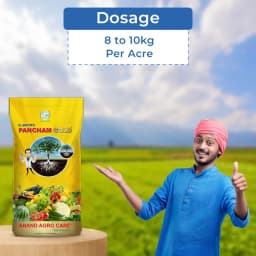 Dr. Bacto\'s Pancham Gold Granules, Formulation of Arbuscular Mycorrhiza, Increase the Plant Growth and Yield and Enrich the Soil Condition 5