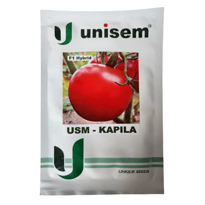 Unisem USM-KAPILA F1 Hybrid Tomato Seeds - Image 2