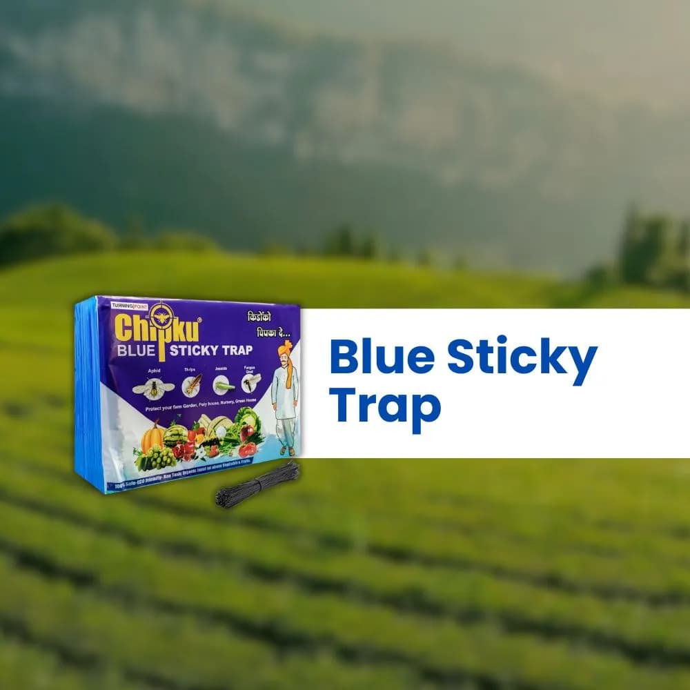 Chipku A5 Blue Sticky Trap For Insects, For Garden & Agriculture, To Control Whiteflies, Aphids, Thrips, Jassids - Image 8